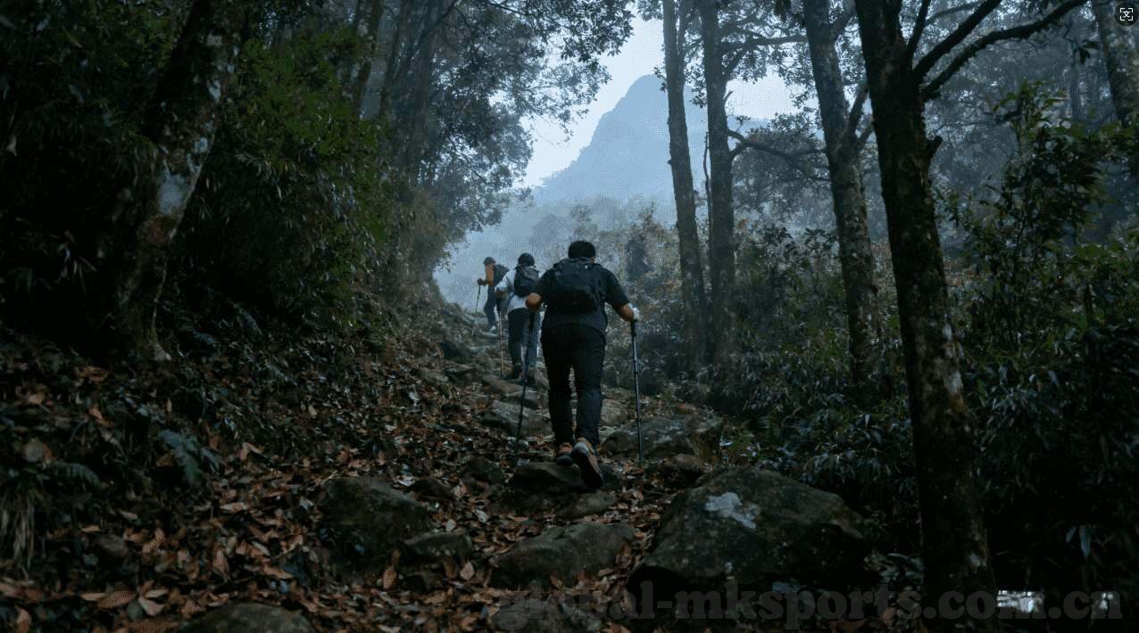 mk体育下载-MK体育下载——开启你的极限运动之旅